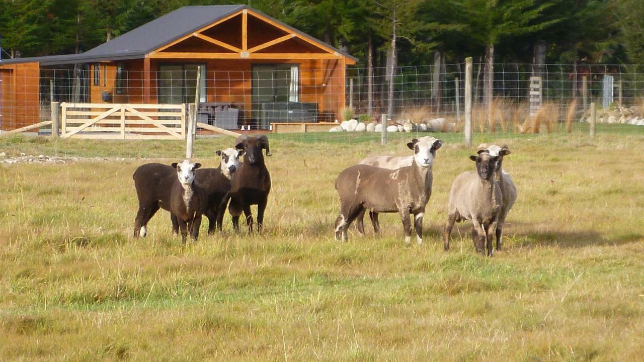 Whakata In Fiordland Hotell Te Anau Eksteriør bilde